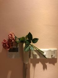 -蕾蕾美颜美容美体