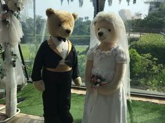 -济州岛泰迪熊博物馆