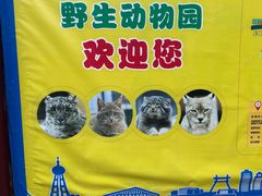 -青藏高原野生动物园