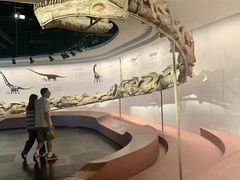 -自贡恐龙博物馆