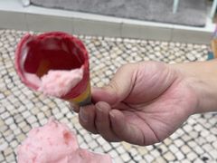 -柠檬车露(卖草地店)