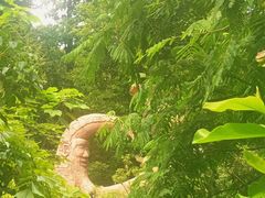 -蝴蝶泉公园
