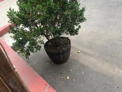 -妈妈的味道(工人体育场东路店)