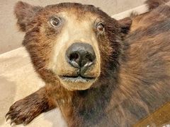 -上海浦西万怡酒店