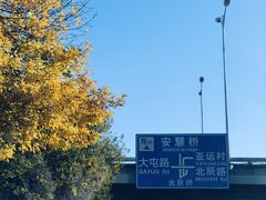 -北京国玉大酒店(鸟巢科技馆店)