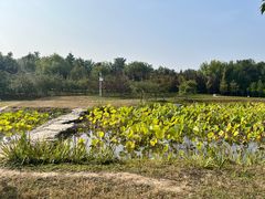 -永定河休闲森林公园