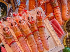 -花潮料理艺食馆(SM新生活广场店)