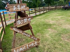 -诸暨耀江开元名都大酒店