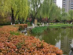 -木塔寺遗址生态公园