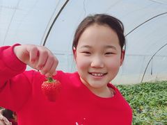-小鱼草莓采摘园农家乐·小鱼餐厅