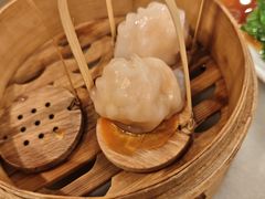 -金鼎轩(方庄店)