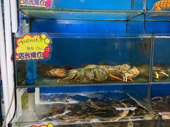 -蚝专家(北滘店)