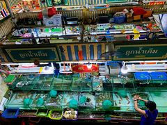 -班赞海鲜市场