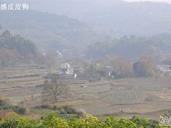 -塔川景区