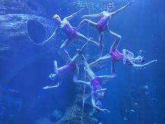 -多彩贵州城极地海洋世界