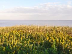 -平湖九龙山庄园圣马可酒店