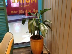 -美奈小馆·越南料理(中航城君尚购物中心店)