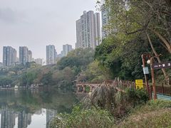 -重庆彩云湖湿地公园
