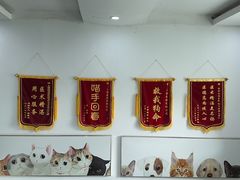 -爱侣宠医·鹦鹉专科·小型哺乳类·异宠专科(灵石路店)