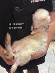 -Zoolung Zoolung动物主题公园(海信广场店)