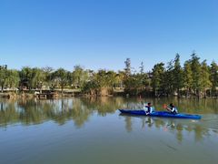 -上海长兴岛郊野公园