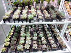 -KKV(深圳宏发大仟里店)