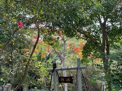 -三亚蜈支洲岛旅游区