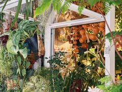 -溪岸路花鸟市场