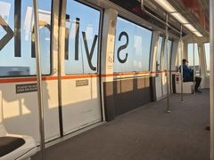 -达拉斯 沃斯堡国际机场