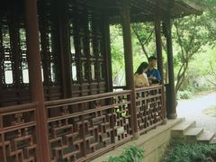 -上海醉白池公园