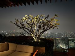 -广州柏悦酒店·悦吧·顶楼露天酒吧