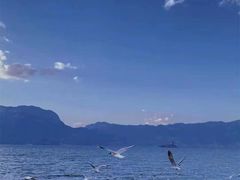 -丽江泸沽湖景区