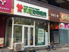 -悦宠凯宝动物医院·牙科·皮肤科(朝阳北路店)