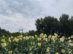 -长春农业博览园
