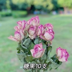 -小梨·OndaPro·专业脱毛连锁机构