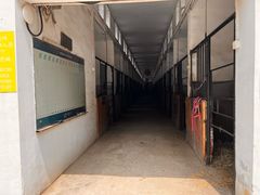 -枫露马术学院(藏书校区)