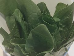 -蒙都43°9羊火锅·赤峰美食(宁城店)