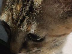 -星巴克臻选(上海长风大悦城店)