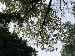 -晓港公园