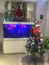 -传世玉颜专业祛痘·问题肌