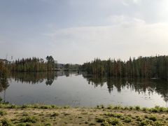 -白鹭湾湿地公园