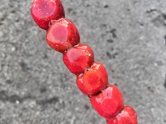 -润龙源海南陵水酸粉