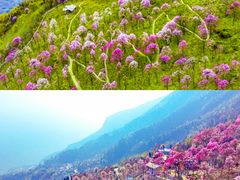 -九皇山景区