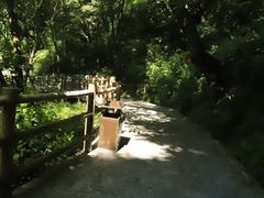 -少华山国家森林公园