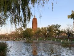 -西海子公园
