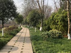 -重庆彩云湖湿地公园