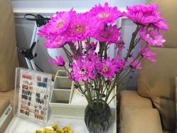 -绘甲社NACHO&DAI SALON