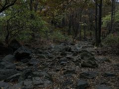 -香炉山国家森林公园