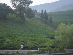 -帐篷客·溪龙茶谷度假酒店