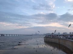 -星海广场